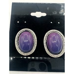 Oval Silver Tone and Purple 1980’s Stone Screw Back Earrings